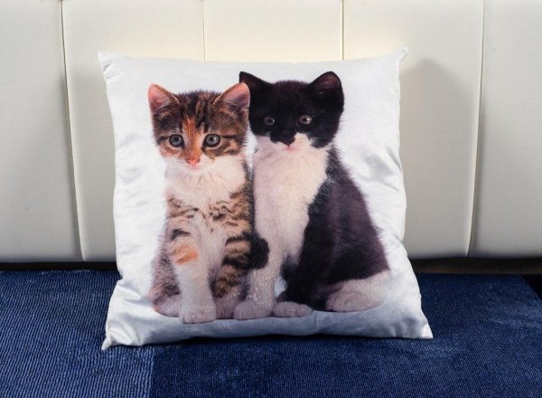 Perna decorativa alba cu pisicute