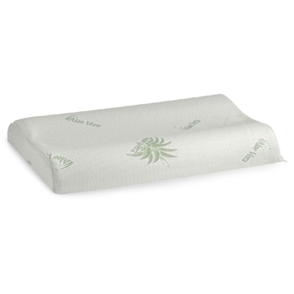 perna anatomica aloe vera memorie